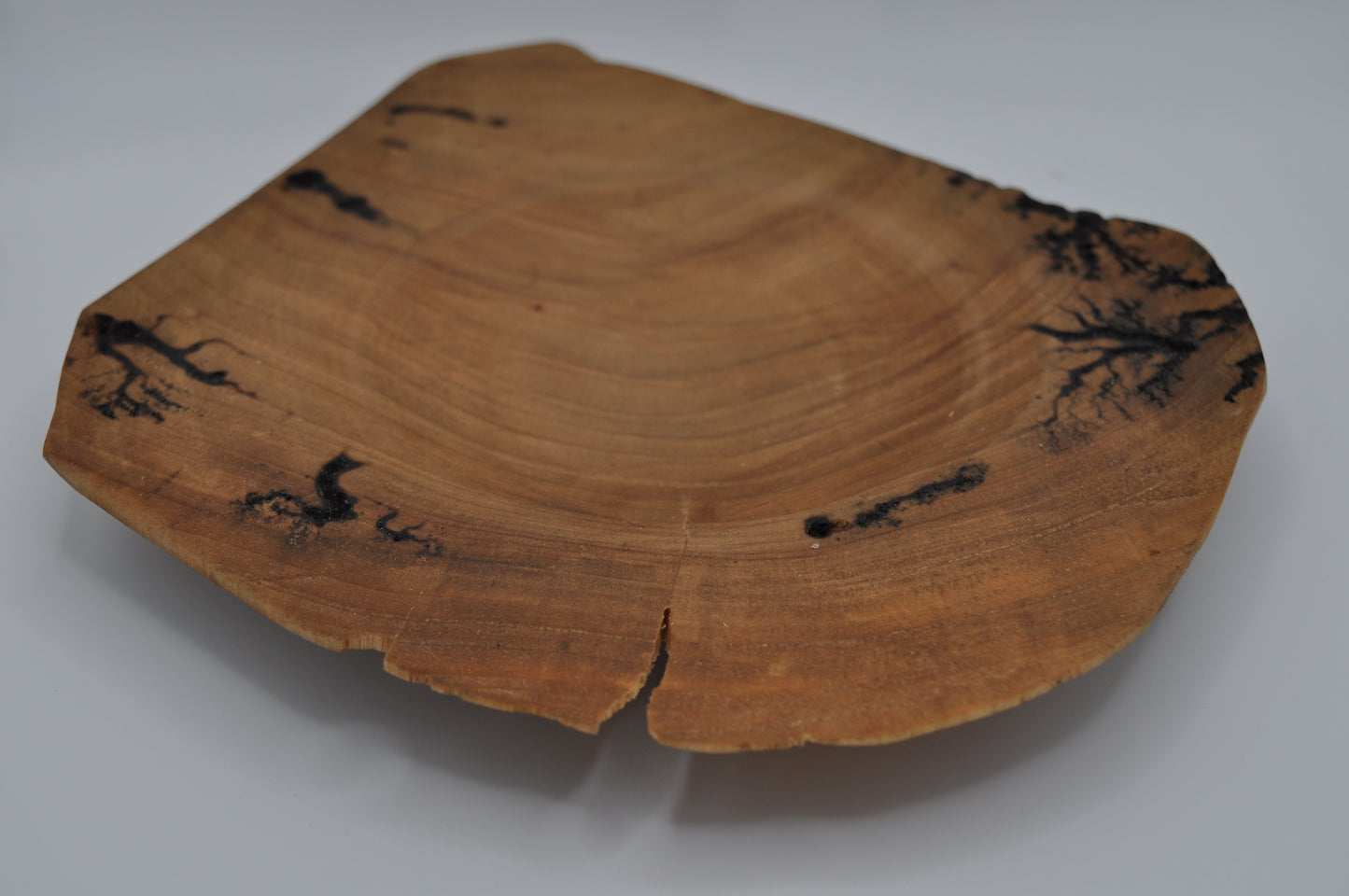 Lichtenberg Dish