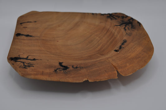 Lichtenberg Dish